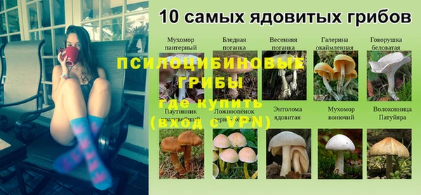 дживик Магас