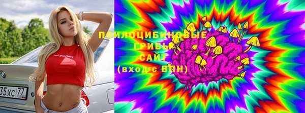 спиды Вязьма