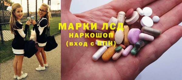 дживик Магас