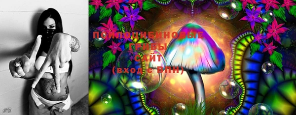 дживик Магас