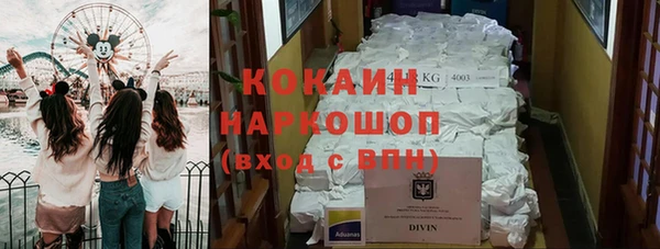 дживик Магас