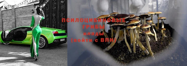 дживик Магас