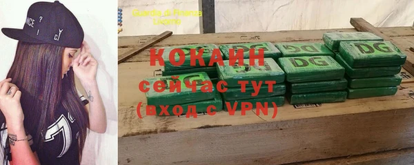 дживик Магас
