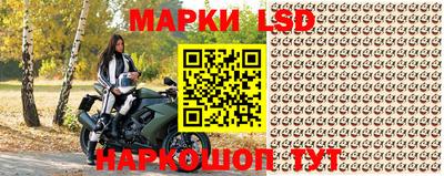 ПСИЛОЦИБИНОВЫЕ ГРИБЫ Гатчина