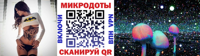 Псилоцибиновые грибы Psilocybe  купить  цена  Нарьян-Мар 