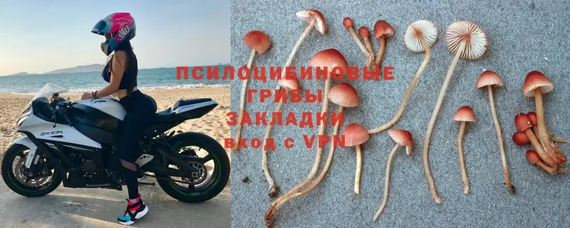 продажа наркотиков  Нарьян-Мар  Галлюциногенные грибы Magic Shrooms 