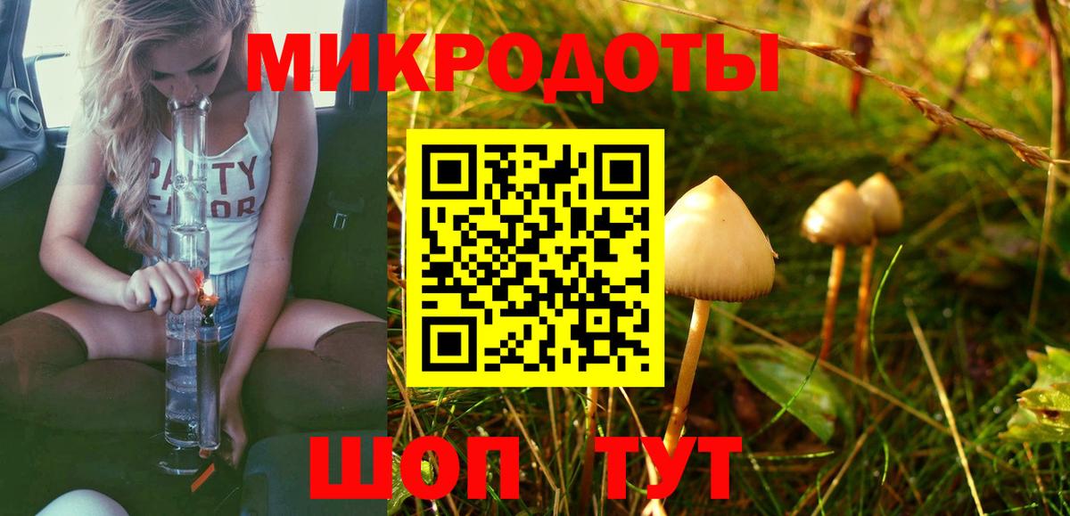 Псилоцибиновые грибы Psilocybine cubensis Нарьян-Мар